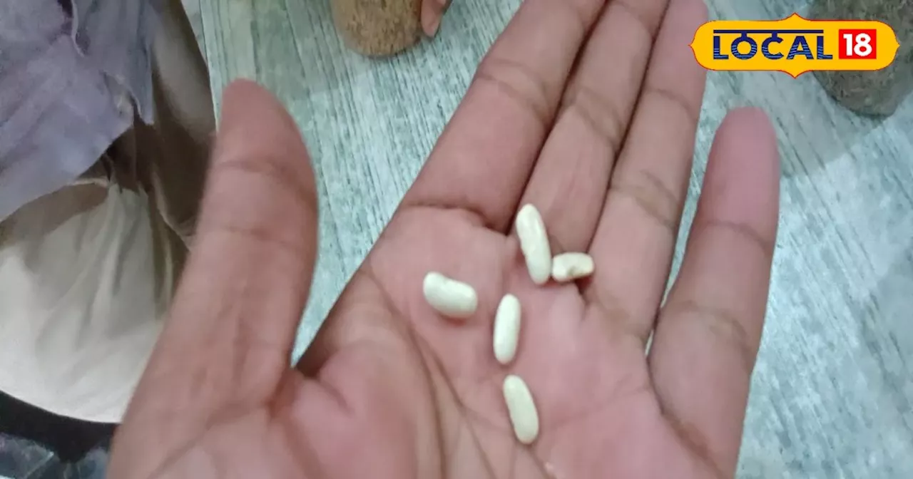 Beans ki Kheti: किसानों के लिए मुनाफे का सौदा है बींस की खेती, एक बार की लागत फिर जोरदार कमाई