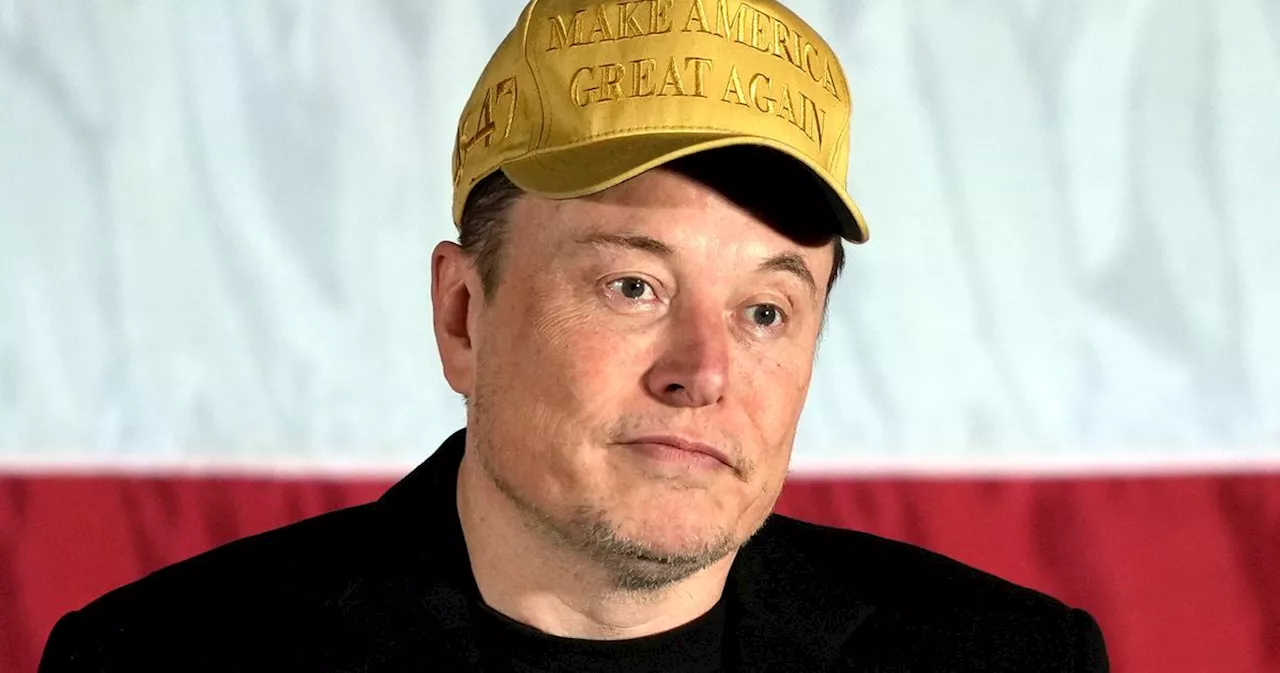 CNN Legal Analyst Predicts Musk Will Go 'Crazy' Running 'Government Efficiency' Effort