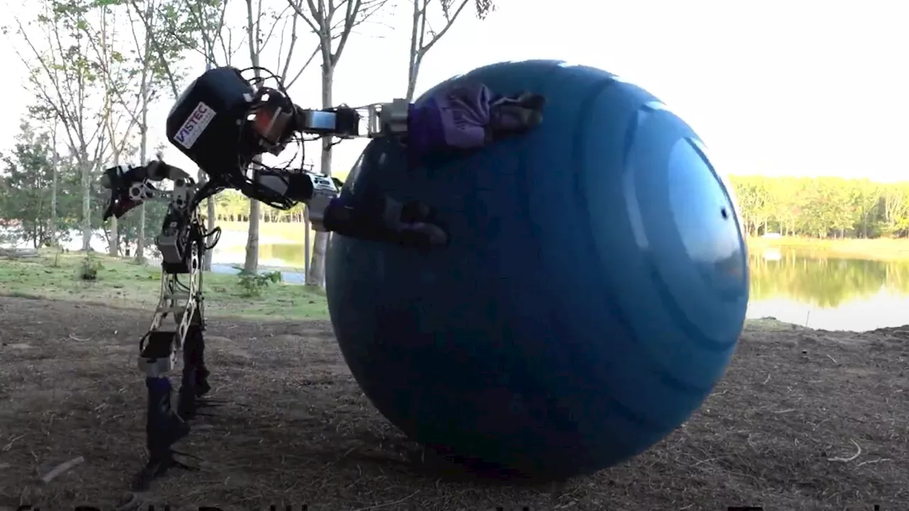 Dung beetle-inspired robot masters object rolling with adaptive leg control