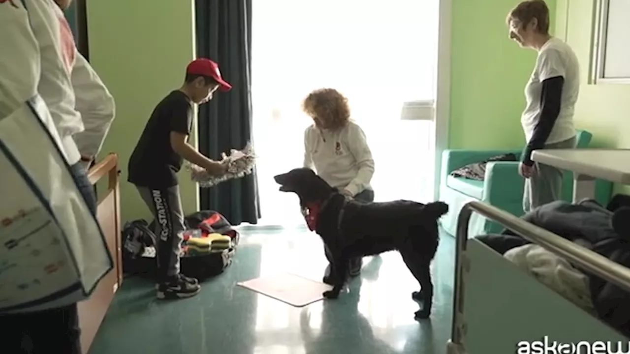 La Dog-Pet Therapy arriva al Pronto soccorso del San Paolo di Milano