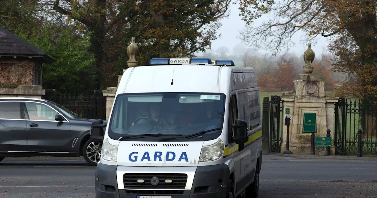 Man detained by gardai over death of man in Laois hotel is son of the victim