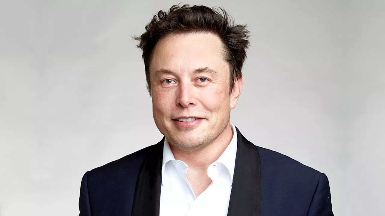 Trump rewards SA-born Elon Musk with govt post