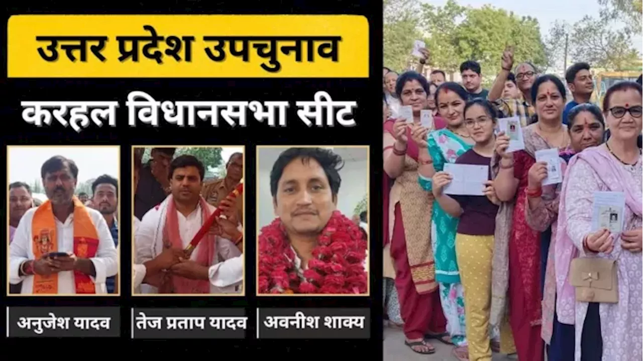 Karhal By Election: जिसे एक बार जिताया उस पर कई-कई बार जताया भरोसा, समझिए करहल सीट के समीकरण