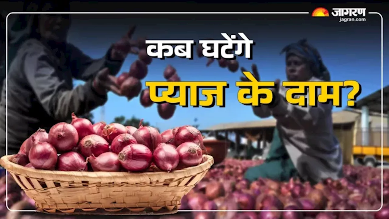 Onion Price: कब सस्ता होगा प्याज, क्या कह रही सरकार?