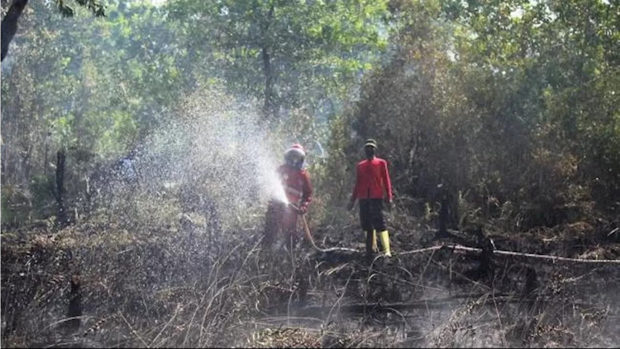 Peringatan Dini BMKG, Waspada Kekeringan dan Karhutla di Beberapa Wilayah Indonesia