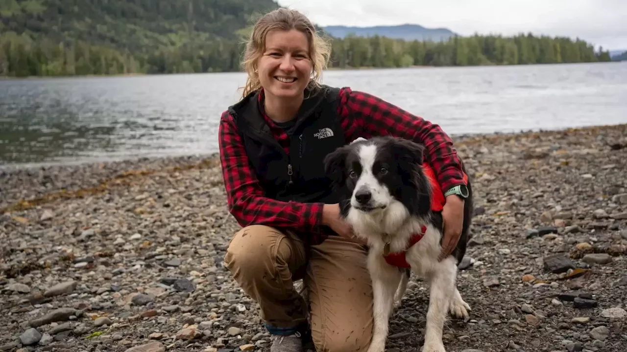 A dog on Prince of Wales Island is helping to conserve wolves by tracking their poop