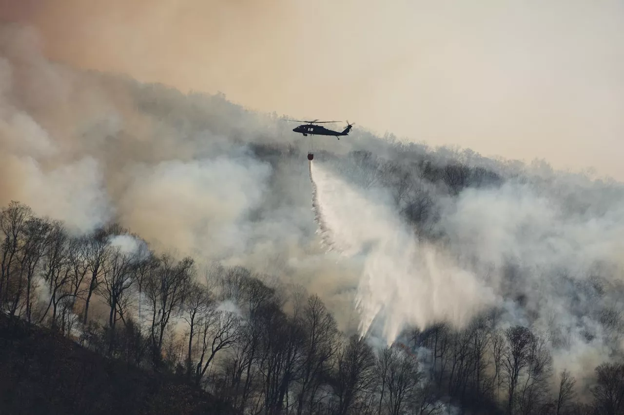 Plus d'incendies, moins d'eau: la région de New York en proie à une forte sécheresse