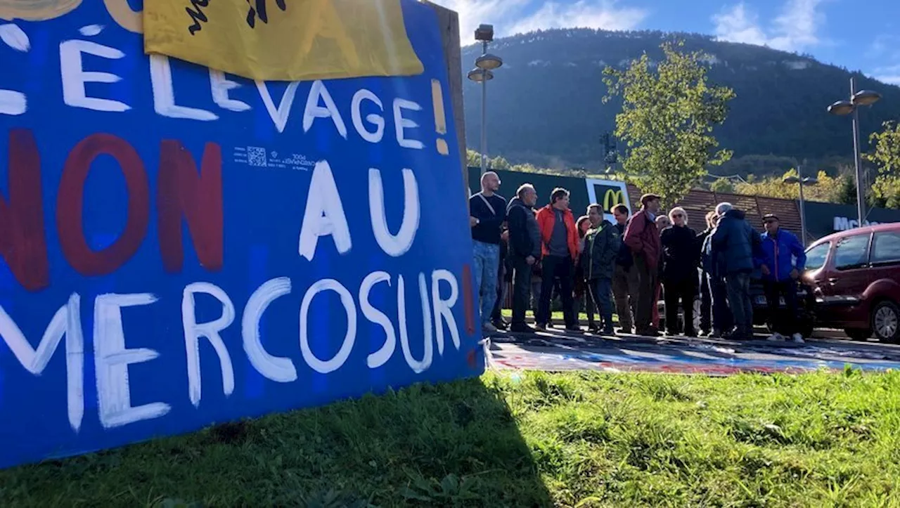 'Nous sommes toujours là face au problème de la mondialisation' : la Confédération paysanne devant le McDonald