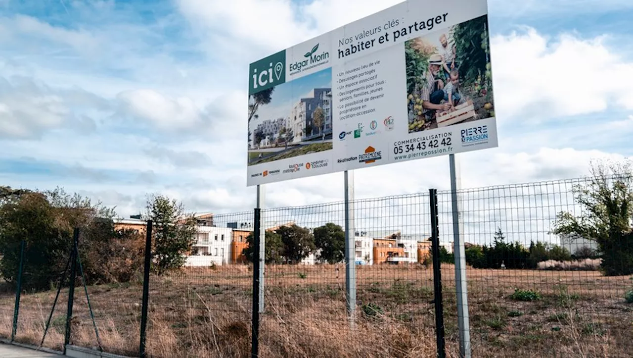 Toulouse : aux Pradettes, un projet urbain à l’arrêt à cause d’une espèce protégée