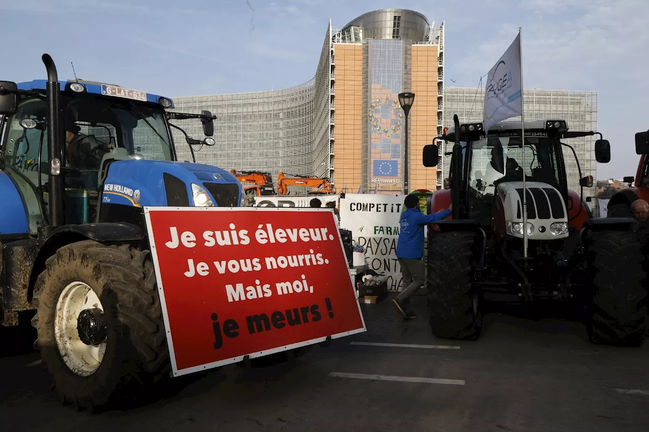 Manifestations, négociations: la France mobilisée contre l'accord avec le Mercosur