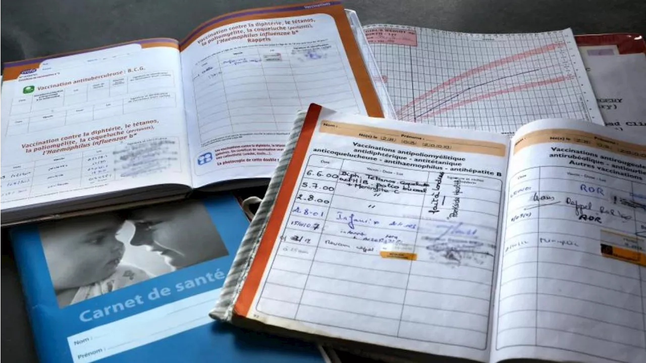 «Il y aura des pages dédiées aux écrans» : le carnet de santé va évoluer en 2025