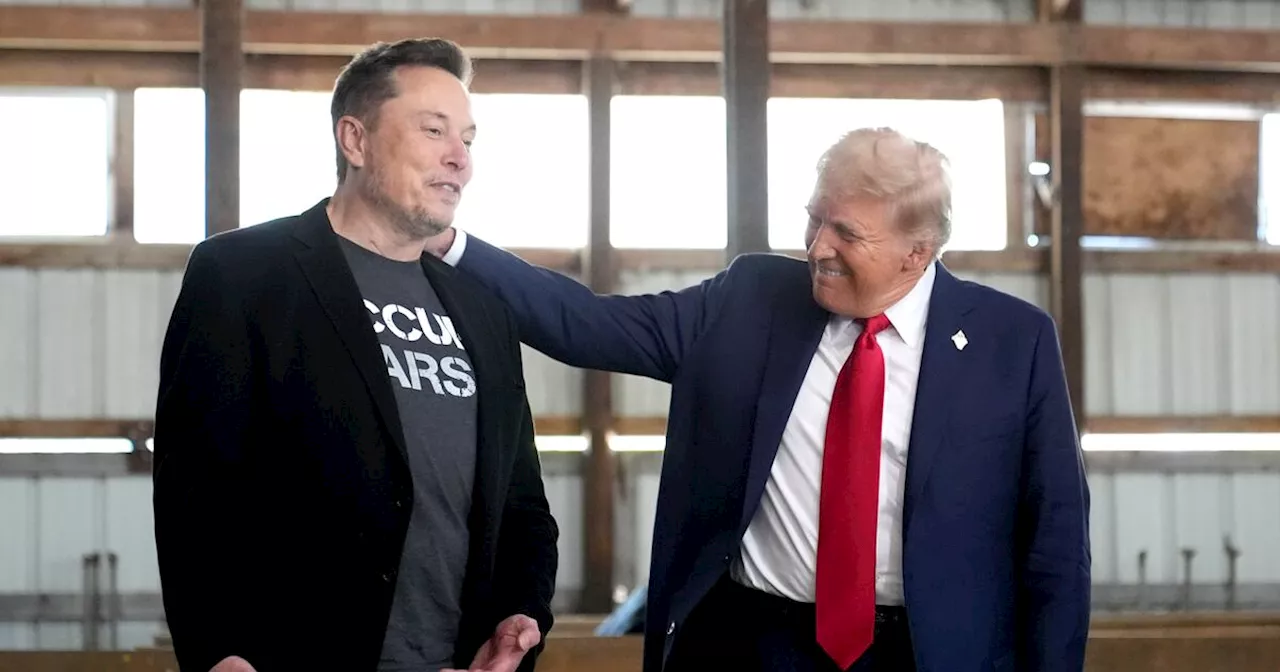 Elon Musk afirma que él y Trump tienen el 'mandato para eliminar' regulaciones