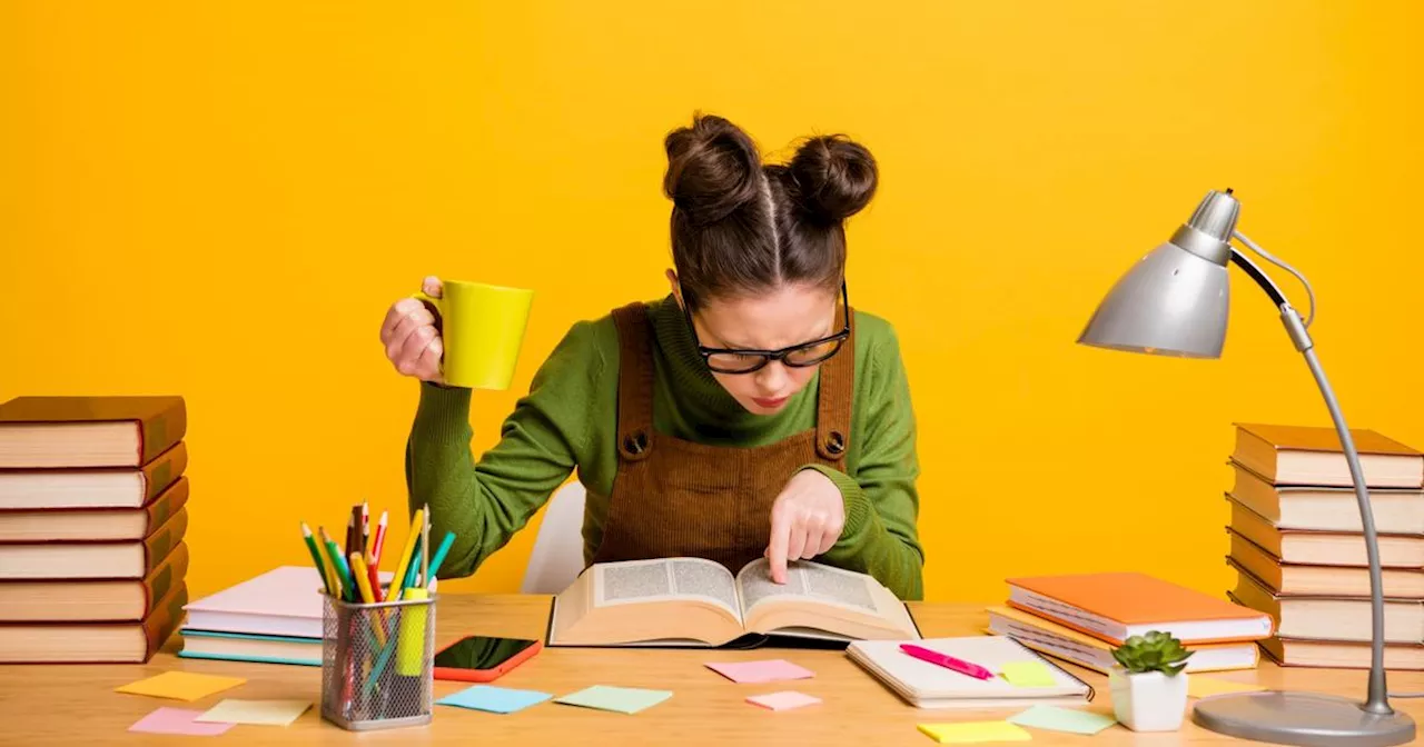 Seul un passionné du français réussira ce test de conjugaison