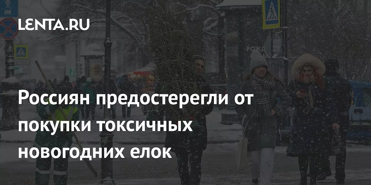 Россиян предостерегли от покупки токсичных новогодних елок