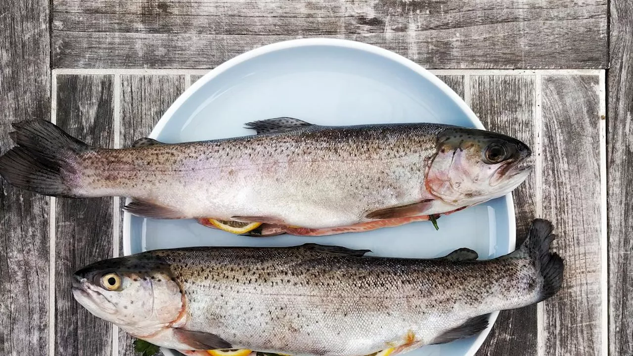 Cara Ampuh Hilangkan Formalin di Ikan dengan Bahan Dapur Sederhana