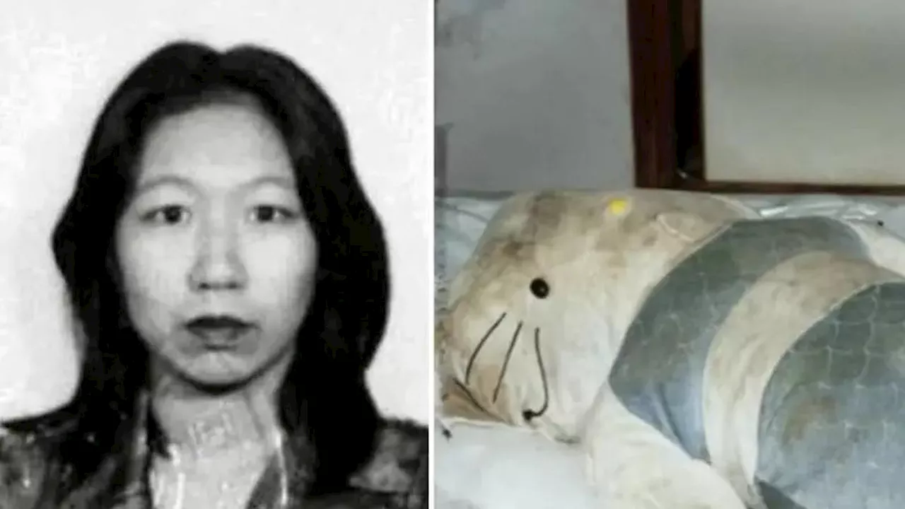 Kisah Pembunuhan yang Pernah Bikin Geger Hong Kong, Kepala Korban di Boneka Hello Kitty