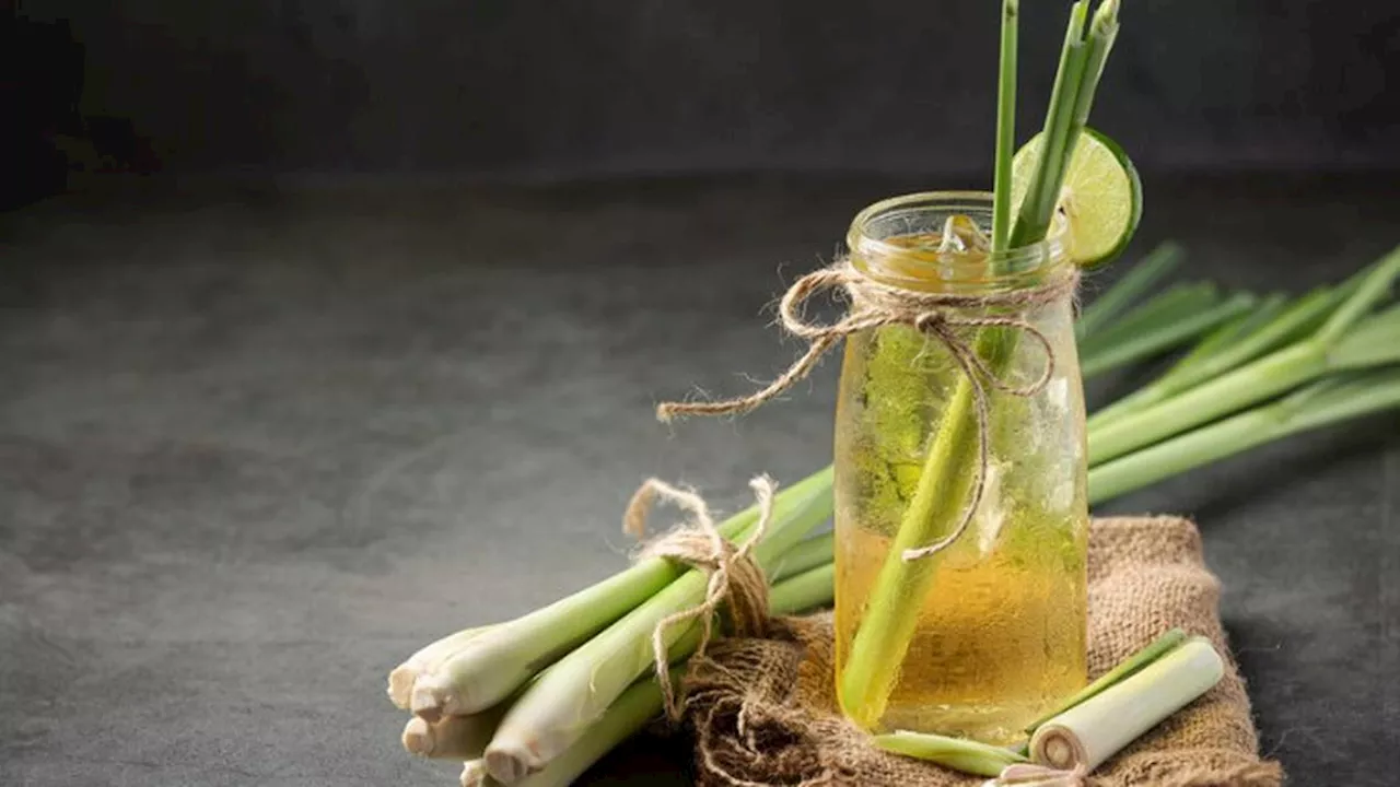 Resep Es Jeruk Nipis Serai, Minuman Segar Penurun Gula Darah Tinggi