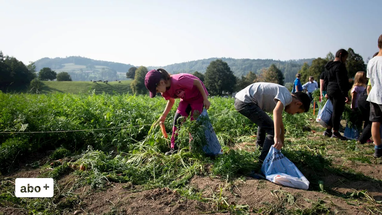 Ab auf den Bauernhof: Luzerner Lehrer und Schülerinnen sollen mehr über die Landwirtschaft erfahren