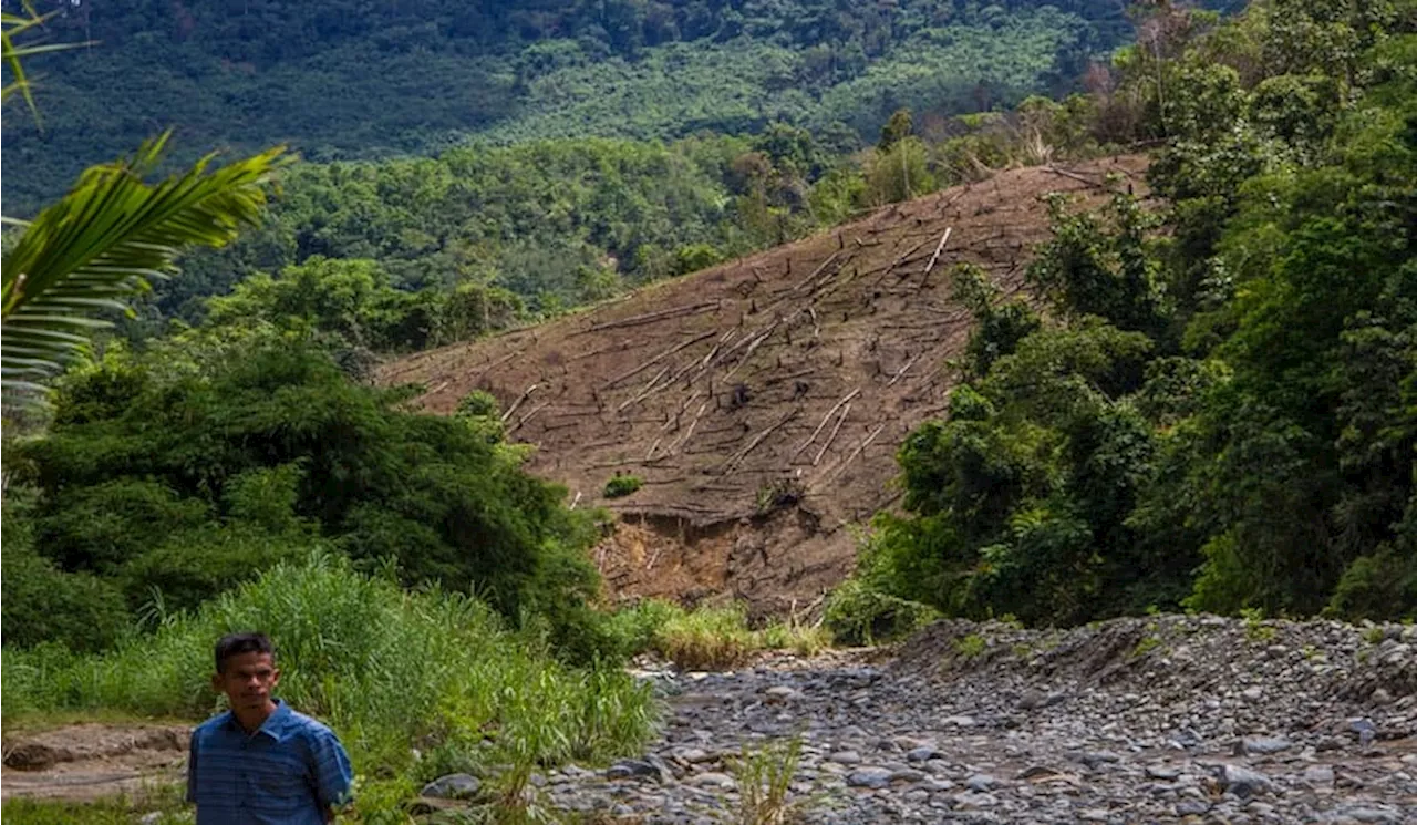 Negara Berkembang Harus Terus Tagih Utang Iklim Negara Maju