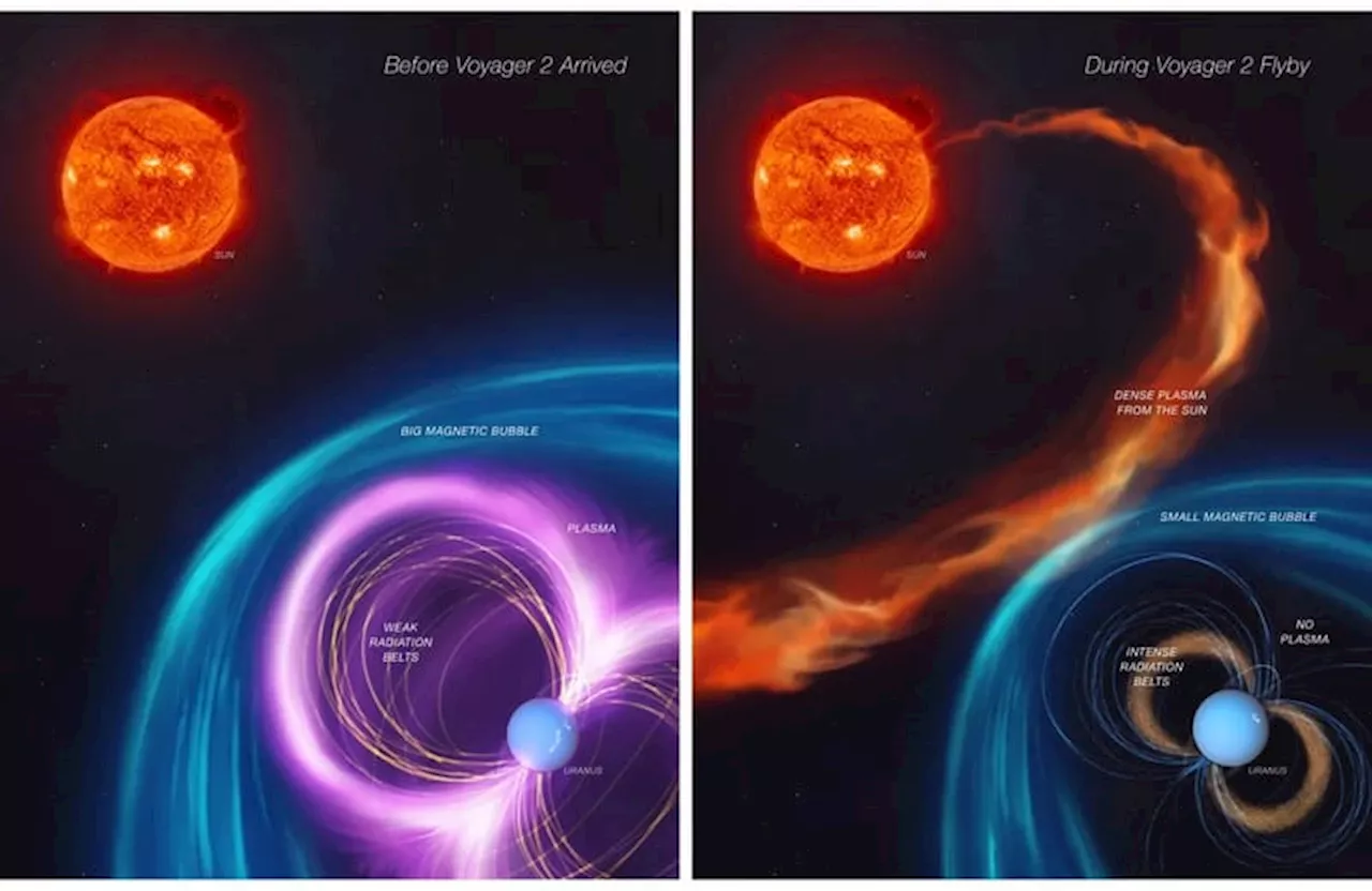 Penemuan Baru tentang Magnetosfer Uranus Solar Wind Bisa Menyebabkan Keanehan yang Ditemukan Voyager 2