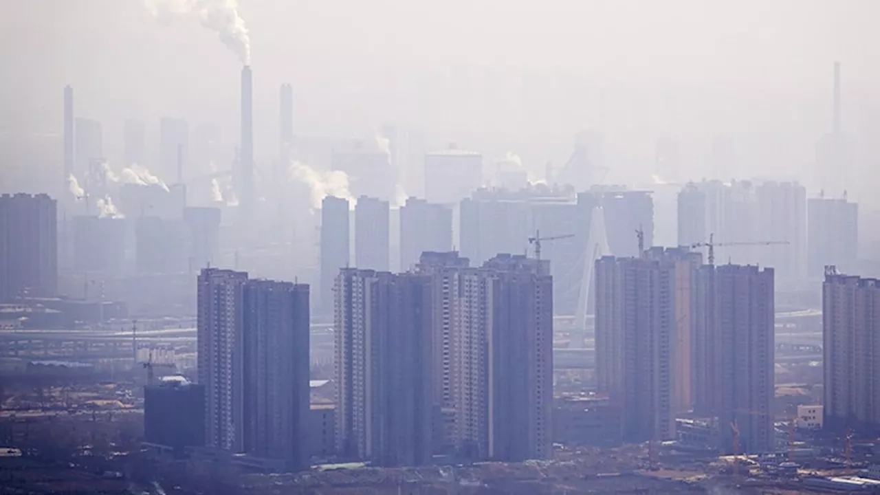 Air Pollution Exposure Linked to Increased Head and Neck Cancer Incidence