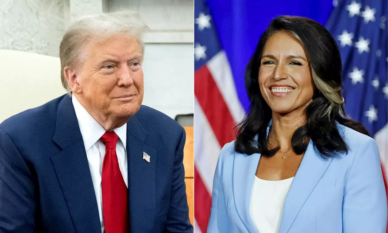 Trump elige a Tulsi Gabbard, antigua demócrata, como directora de Inteligencia