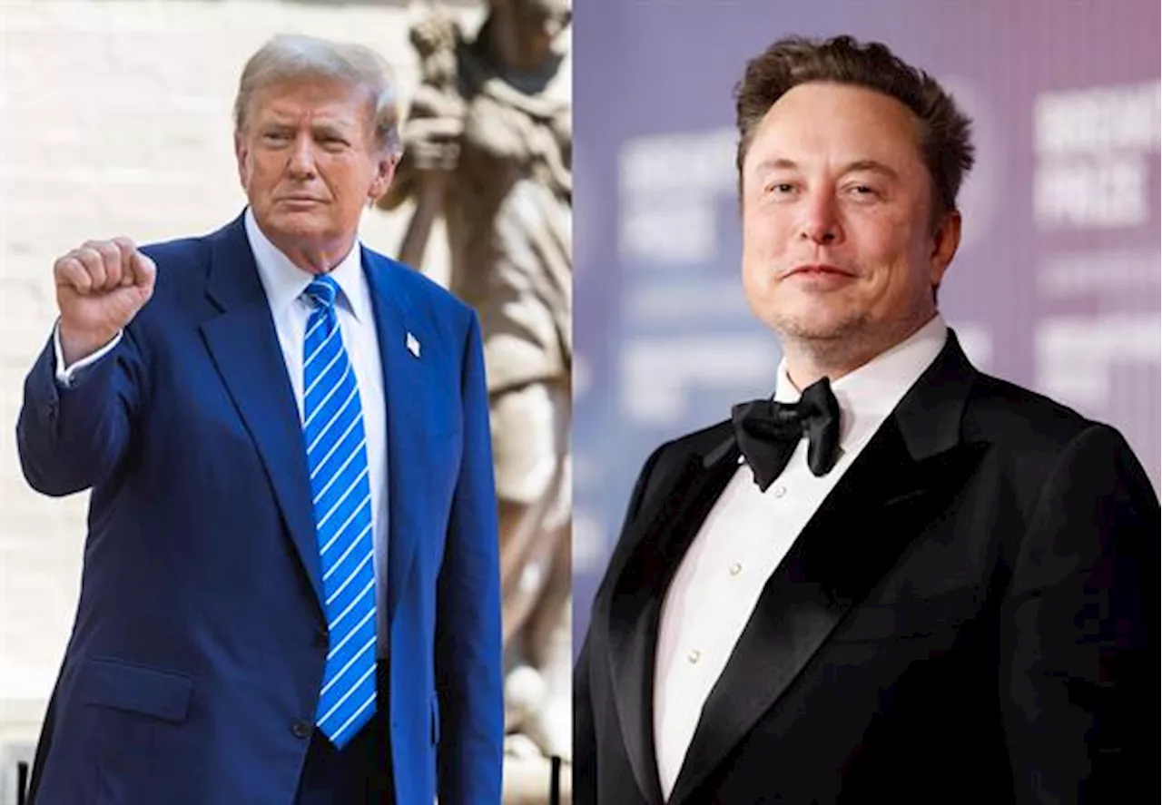 Trump nombra a Elon Musk encargado del nuevo Departamento de Eficiencia Gubernamental