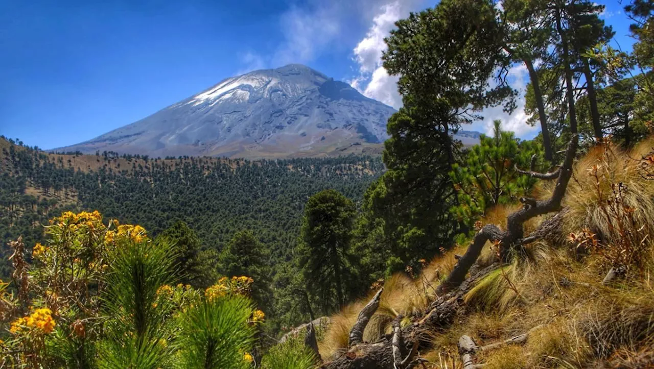 Volcán Popocatépetl HOY: Registra casi 500 minutos de tremor este 13 de noviembre