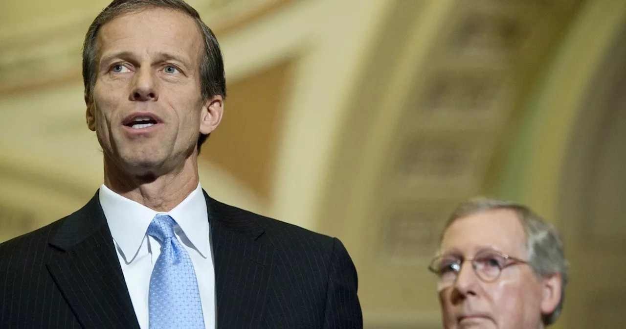 Senate Republicans elect John Thune as majority leader