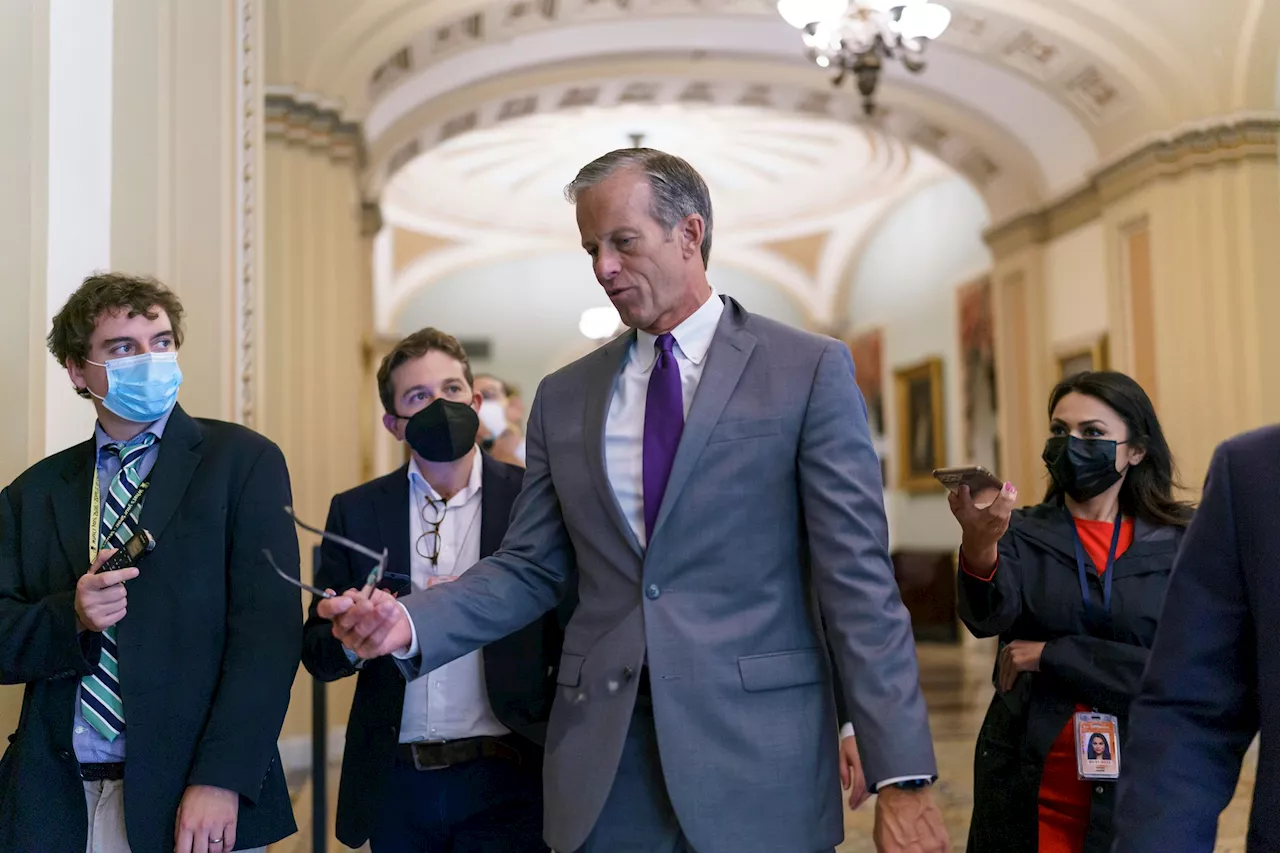 John Thune wird die Republikaner im US-Senat anführen