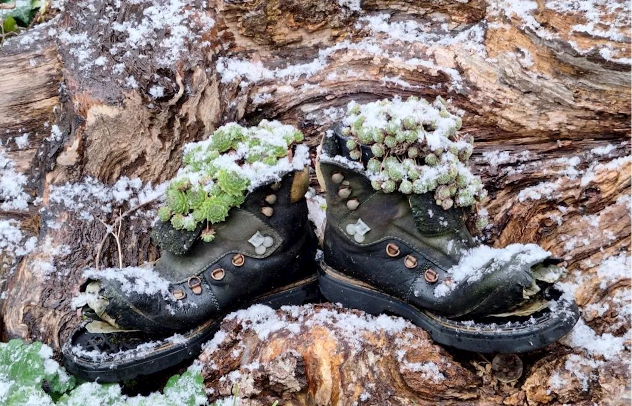 So erleben unsere Leser an diesem Mittwoch den ersten Schnee in Bayern