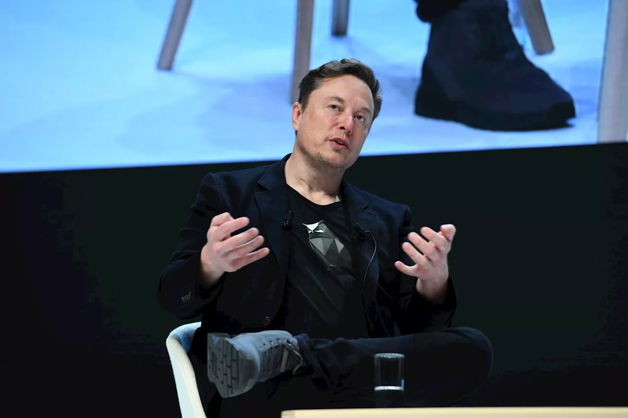 Elon Musk picked as Donald Trump's 'head of efficiency'