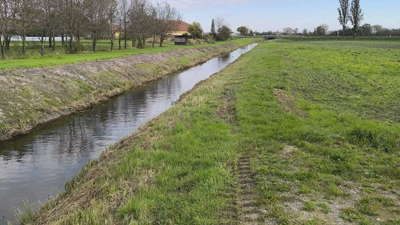 Bürgerinitiative fordert Ausbaggerung des Loimersdorfer Grabens