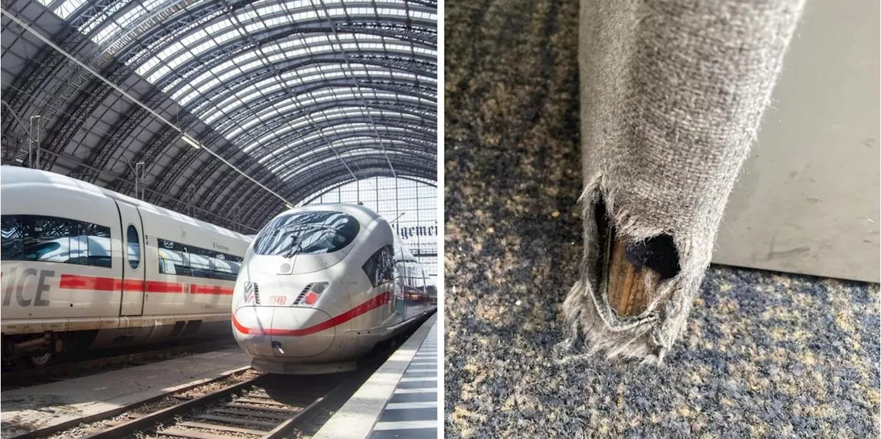 Ekel-Moment in der DB-Lounge: Fahrgast filmt ungebetene G&auml;ste