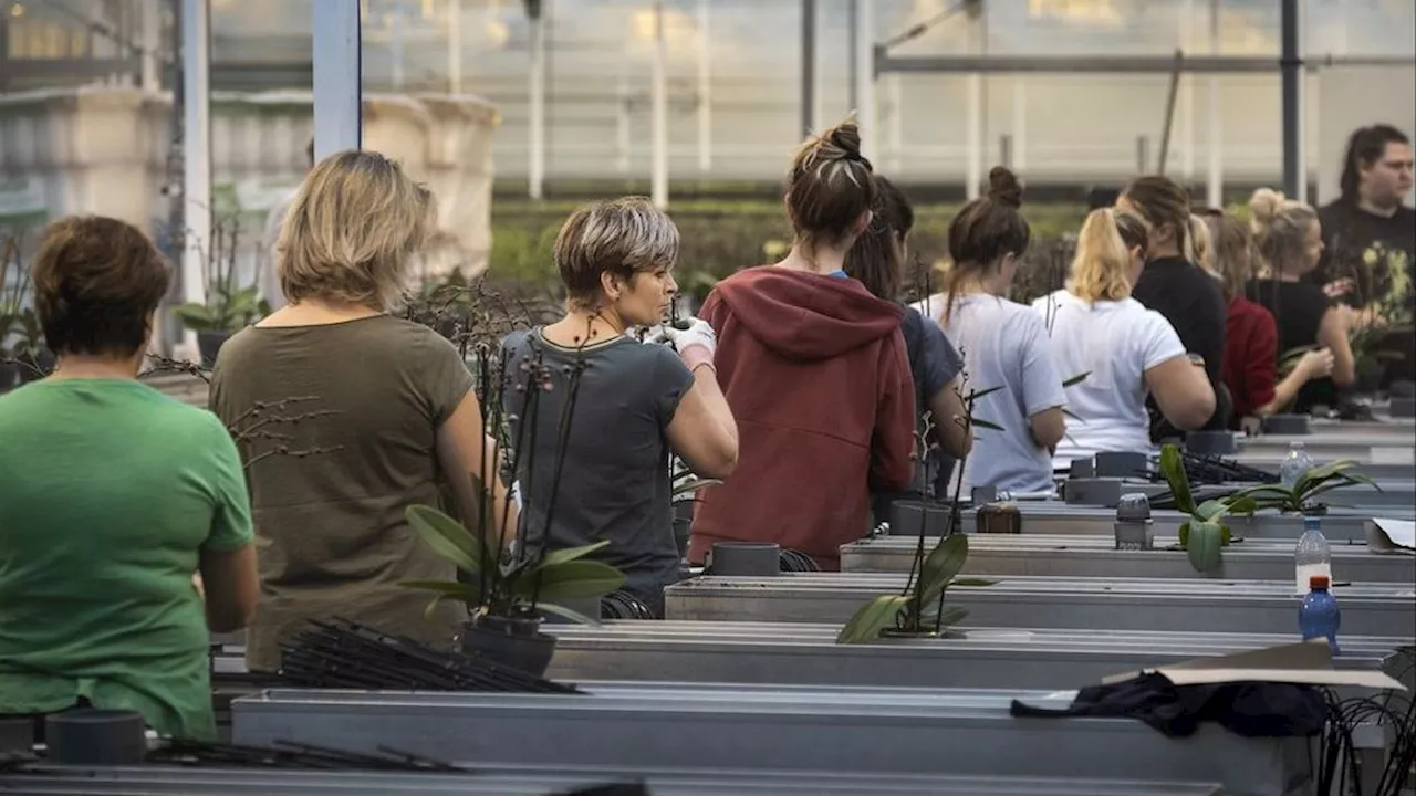 Meer dan 200 arbeidsmigranten Den Haag dreigen op straat te belanden