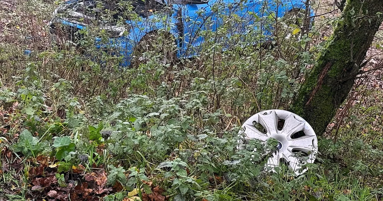 Audi 1 landet bei Lichtenau auf einer Wiese: Fahrerin verletzt