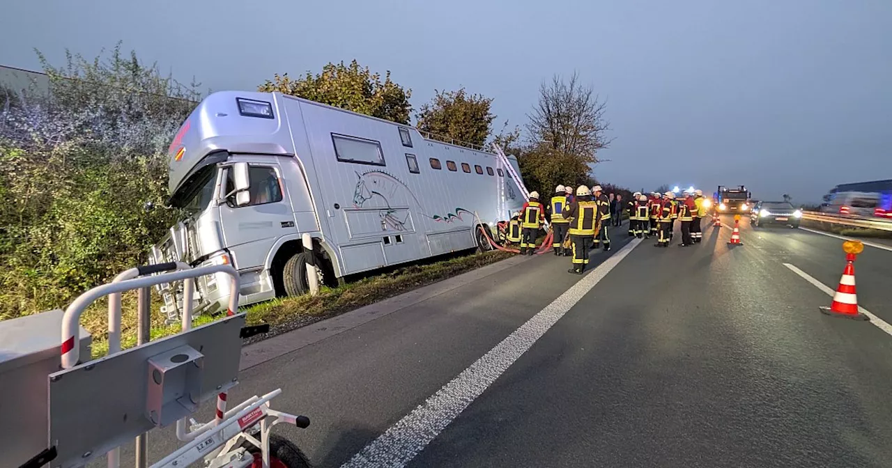 Pferdetransporter auf der A33 bei Borchen verunglückt