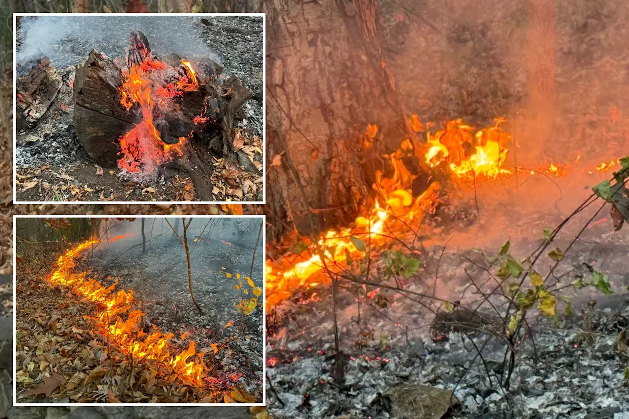 FDNY battles Inwood brushfire as blanket of smoke envelopes upper Manhattan