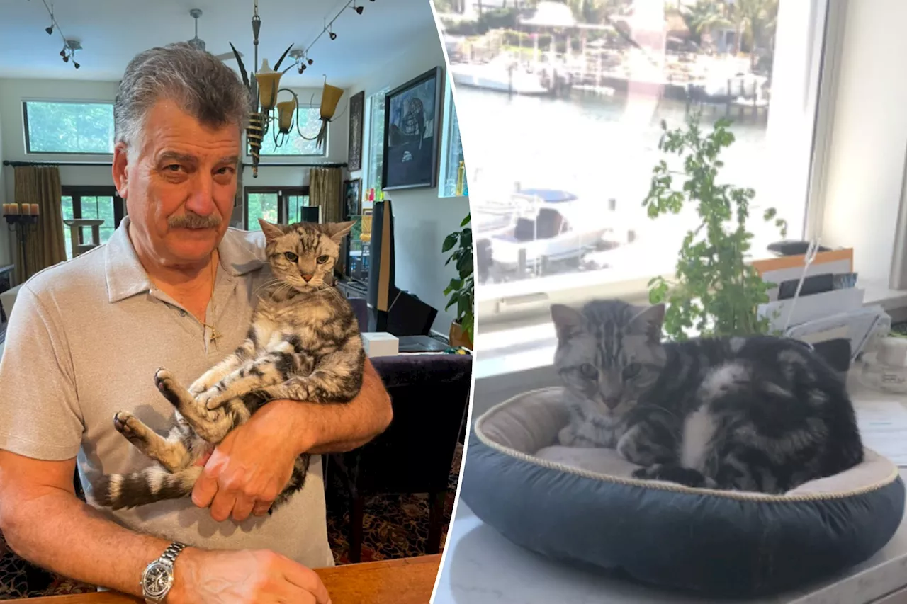 Keith Hernandez mourns after death of 22-year-old cat Hadji: 'I loved him so much'