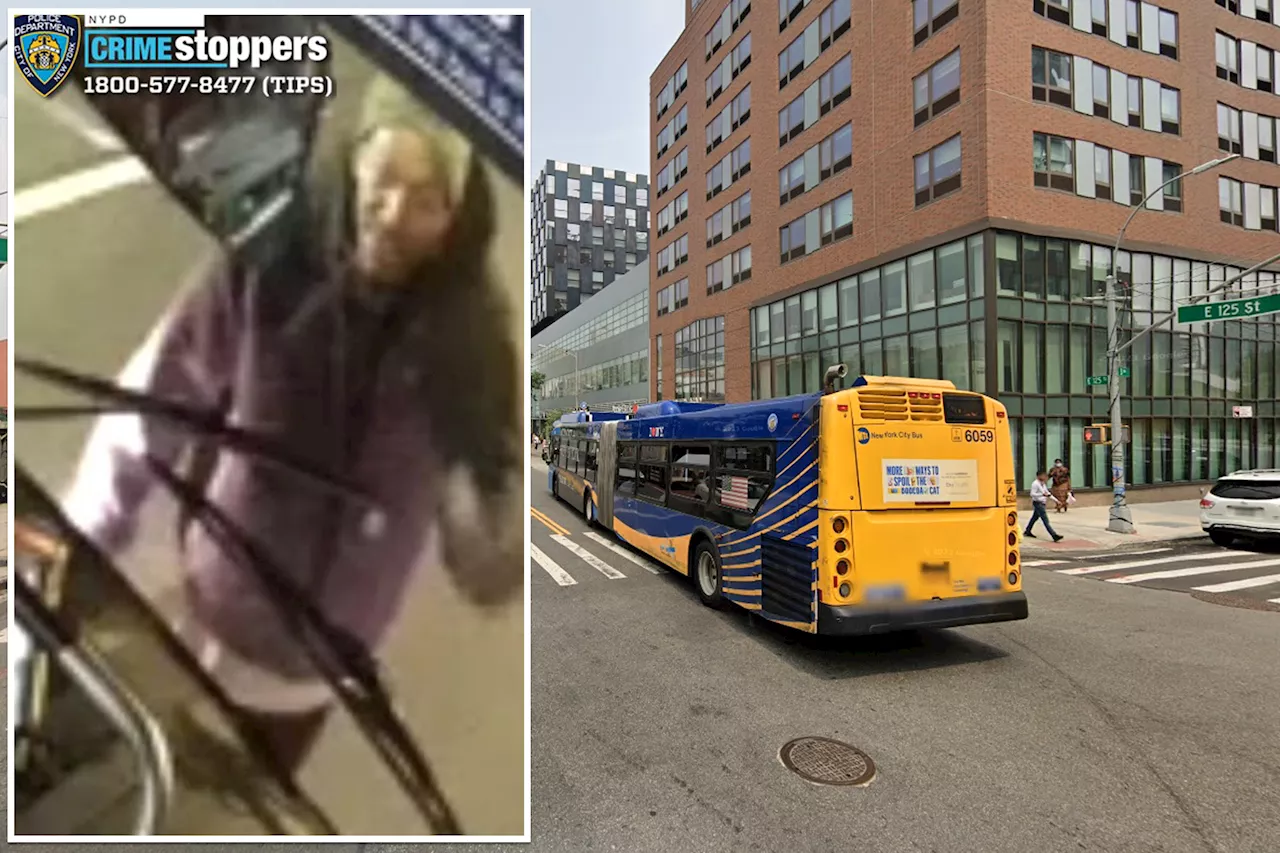 Maniac attacks MTA driver in fit of rage -- because he missed the bus: cops