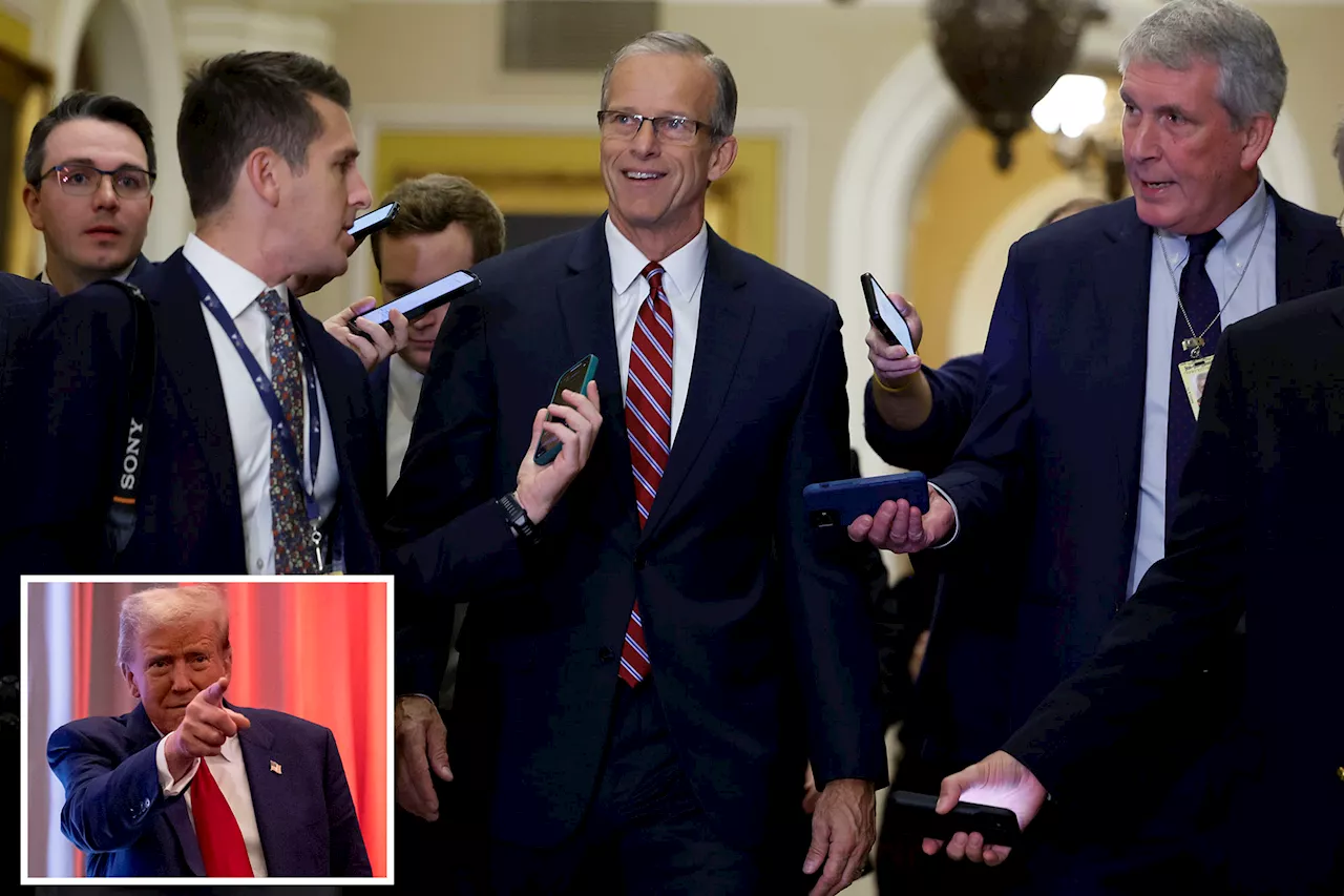 Senate Republicans elect John Thune as leader, succeeding Mitch McConnell