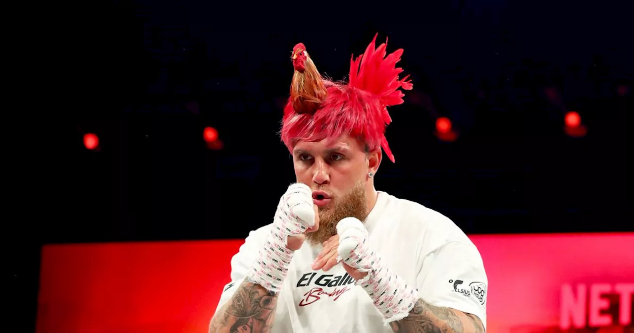 Jake Paul mocked as YouTuber trains with chicken on his head ahead of fight