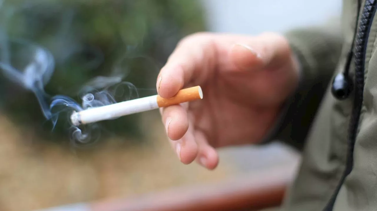 Dans cette ville du Val-d’Oise, les mégots de cigarettes servent à faire des manteaux