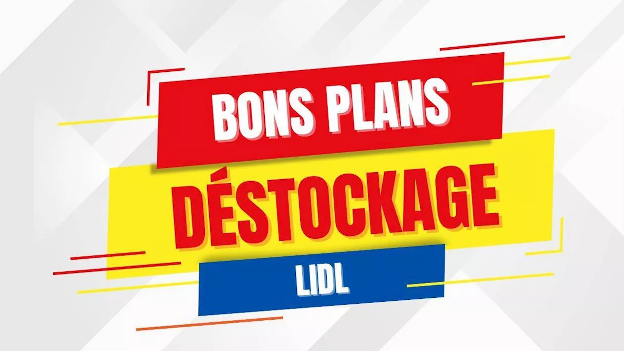 Déstockage Lidl : 5 offres en stocks fracassés pour aménager votre maison et votre jardin