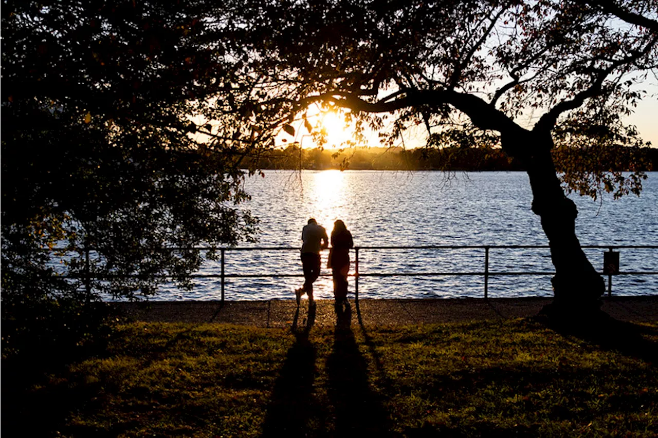 – “Thursday November 8th around 10am, I was walking along 13th street in Petworth”