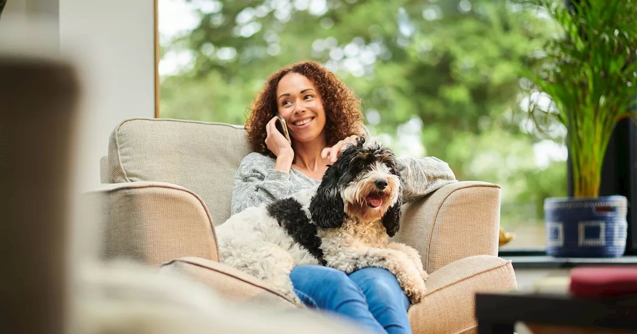 Nearly half of pet owners are convinced their cats and dogs can talk back