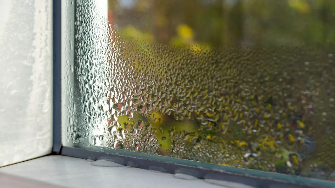 So werdet ihr Kondenswasser am Fenster einfach los: Luftfeuchtigkeit im Schlafzimmer reduzieren