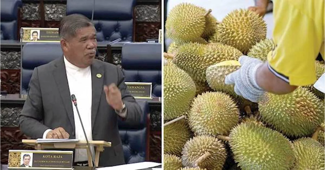 Mat Sabu: Why Do Bumiputera Durian Farmers Struggle While Others Become Millionaires?