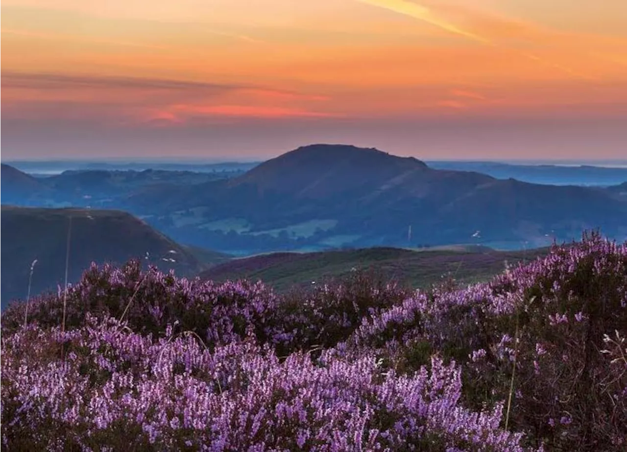 National Trust slammed for damaging Shropshire beauty spot