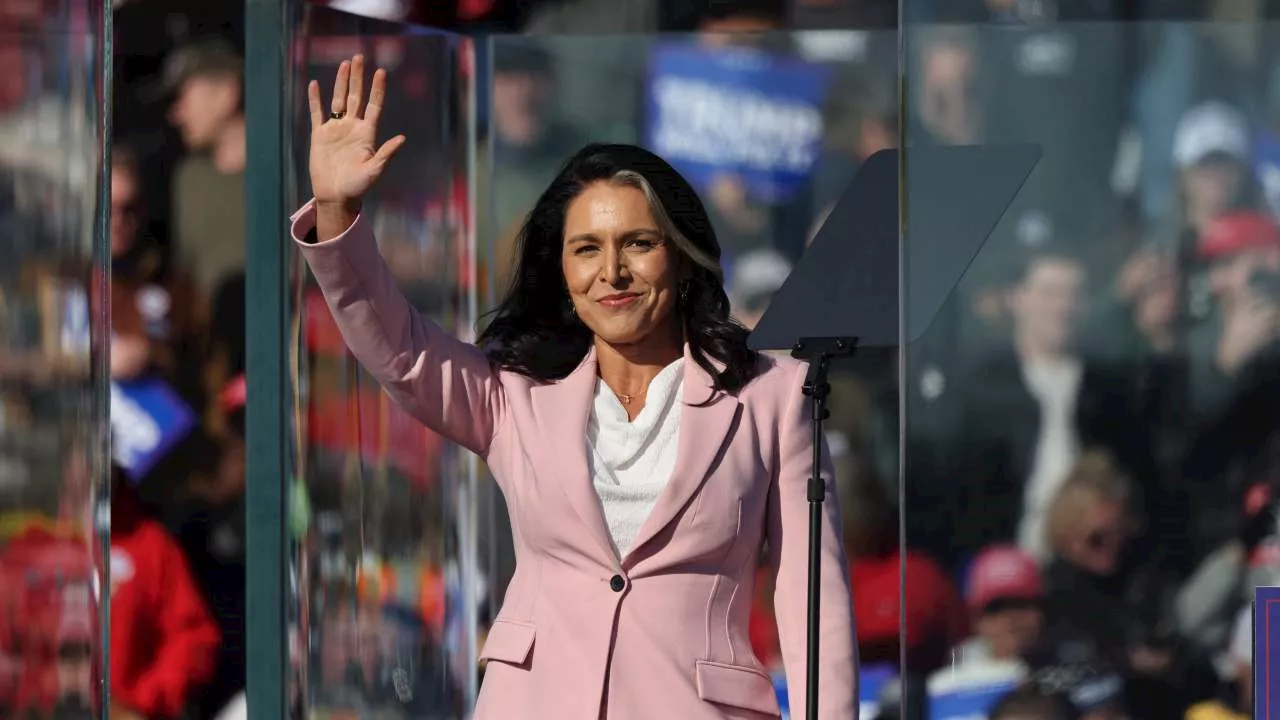 Trump appoints ex-Democrat Tulsi Gabbard to key role in Cabinet